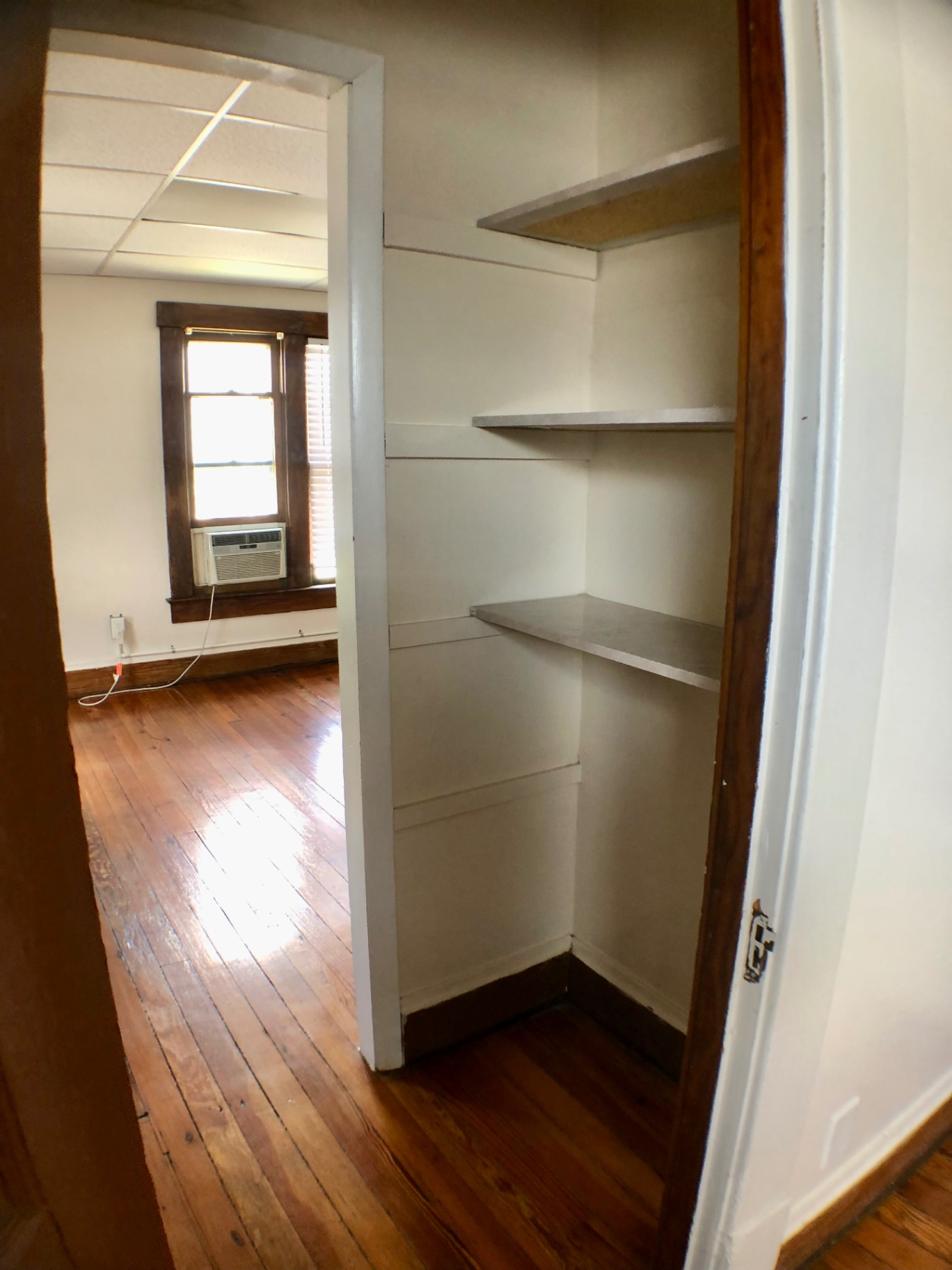 89 E Woodruff Ave. Unit A built-in pantry with wood shelving