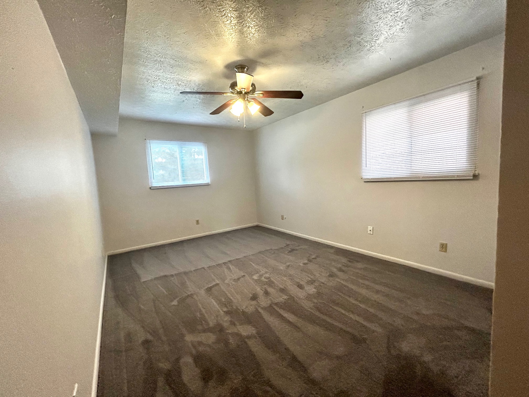 2150 N 4th St. Unit C second bedroom with two windows, ceiling fan, and carpet