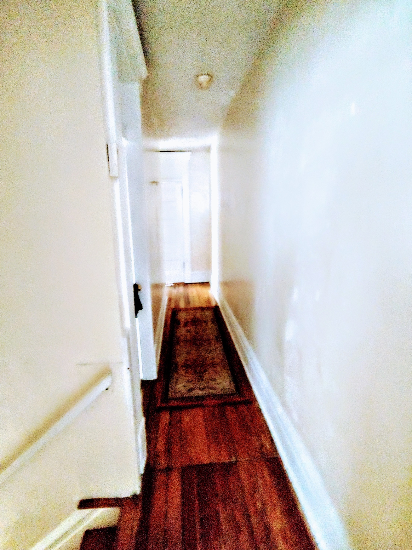 113 W 9th upstairs hallway with hardwood floors