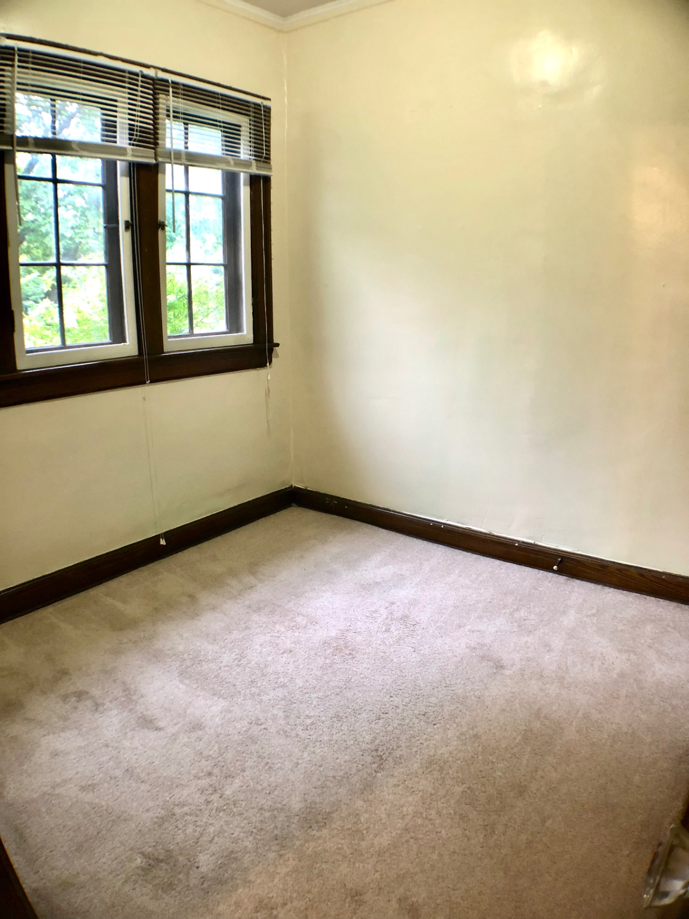 2054 Iuka Ave. D bedroom with double windows overlooking mature trees, fresh carpet, and original wood trim