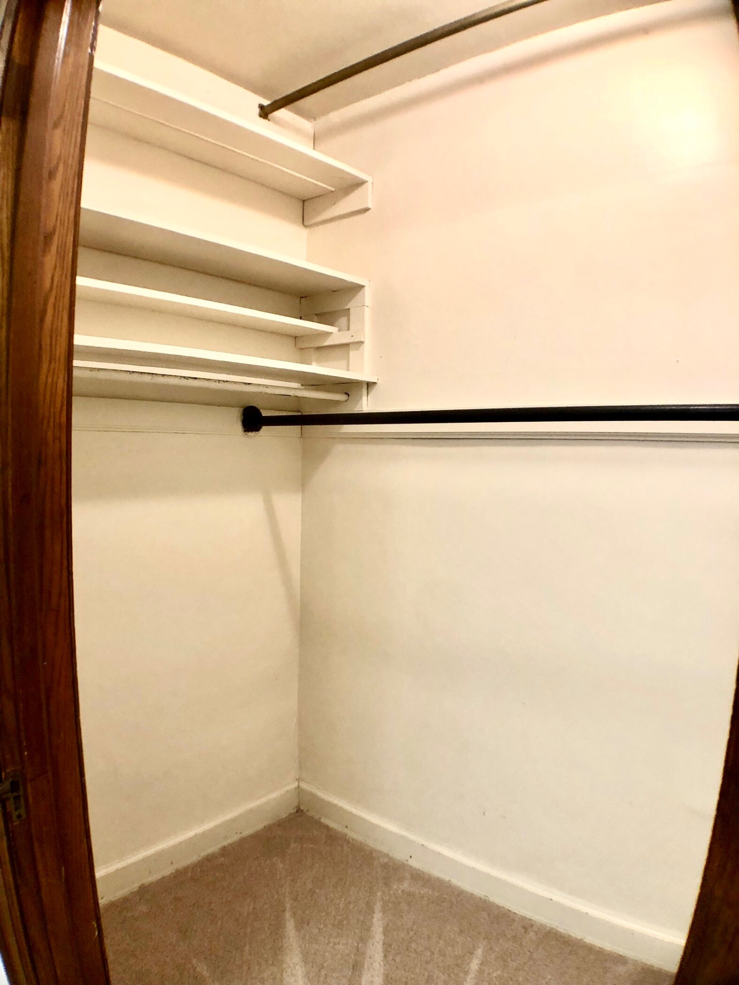 2054 Iuka Ave. D walk-in closet with built-in shelving and full-length hanging rod