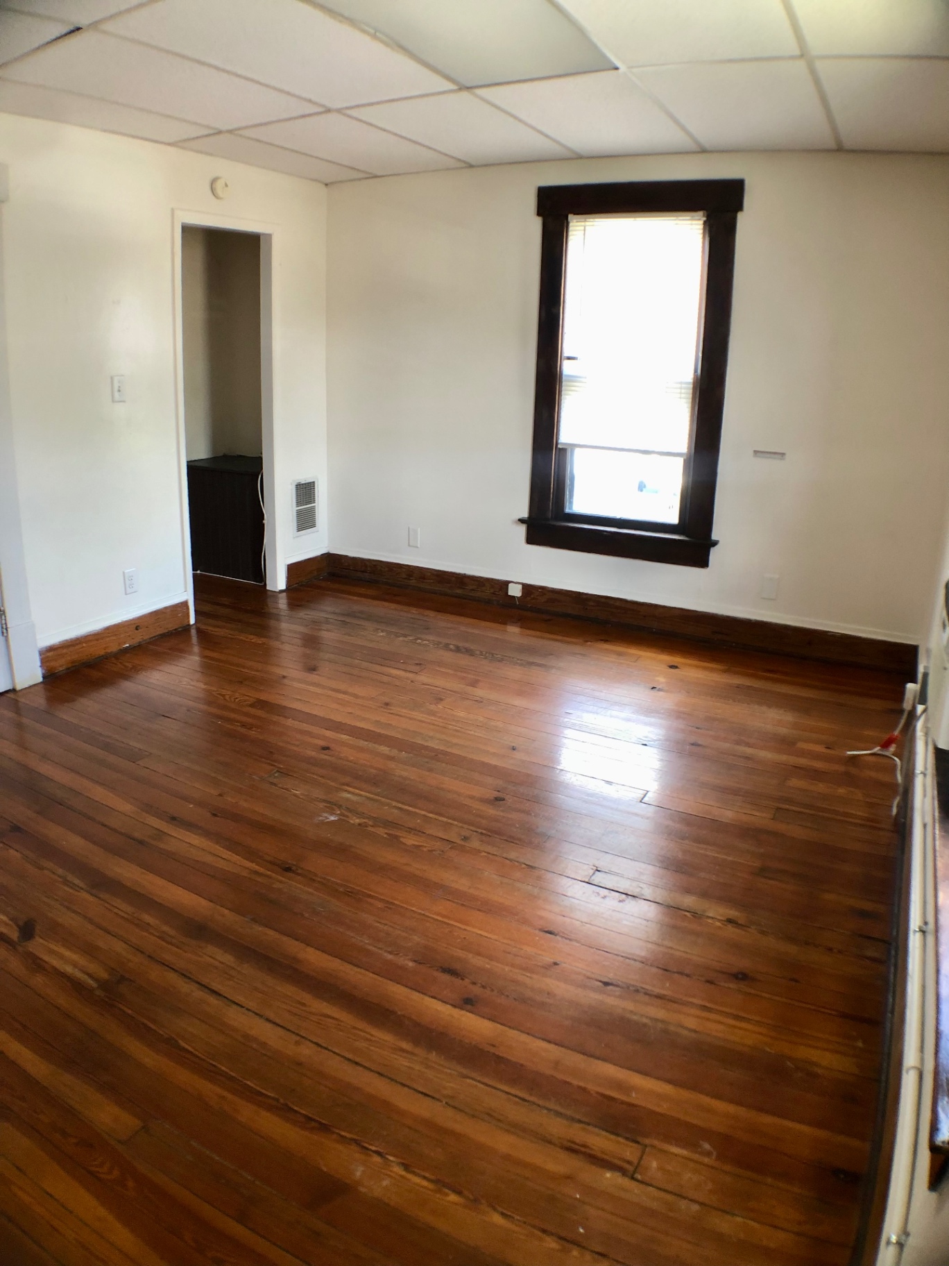 89 E Woodruff Ave. Unit A bright interior with tall window and refinished pine floors