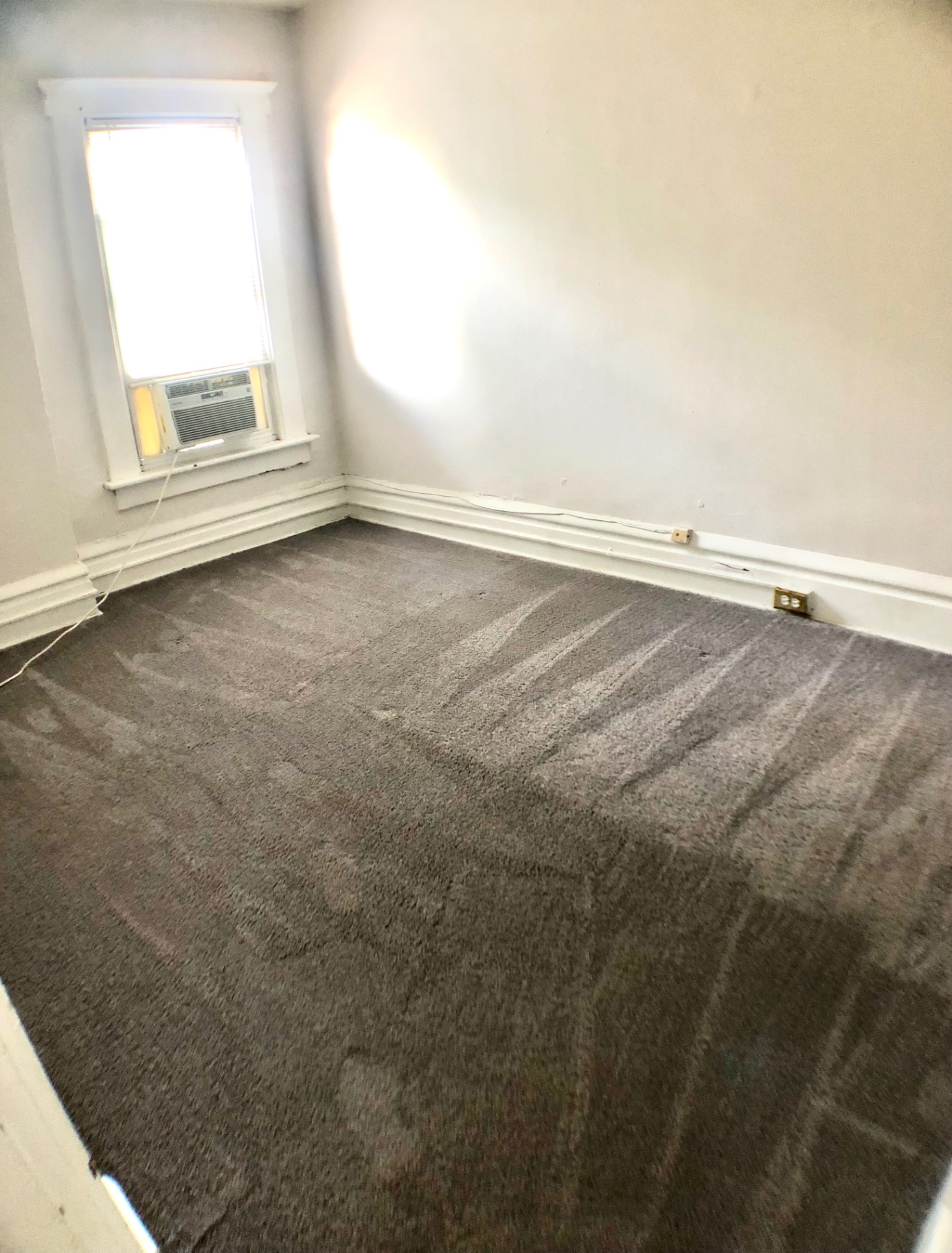 117 W 9th second bedroom with carpet and bright window