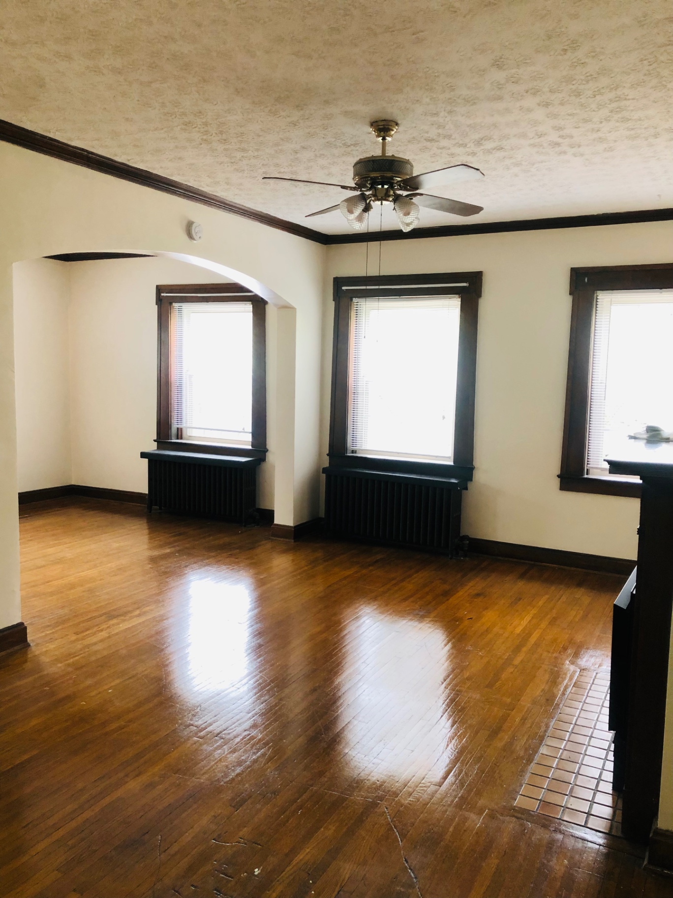Unit F expansive living room with ceiling fan, hardwood floors, and radiators under windows