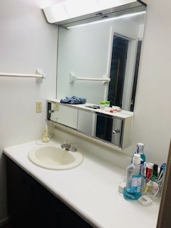2026 Summit St. vanity with large mirror, sink, and overhead lighting