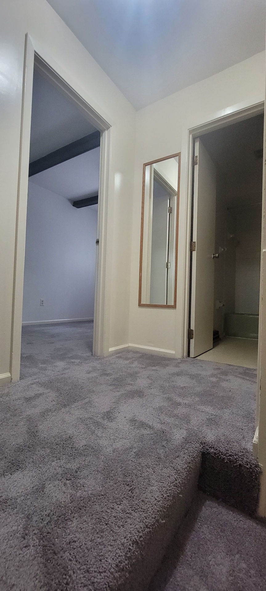 2022 Iuka Ave. upper hallway with mirror, fresh carpet, and doorways to the bedrooms and bath