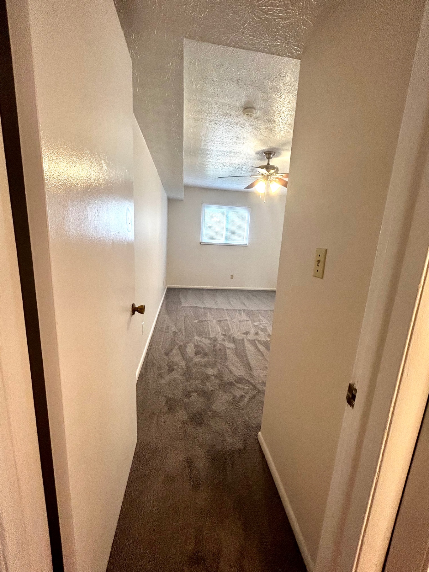 2150 N 4th St. Unit C bedroom with plush carpet, ceiling fan, and bright window