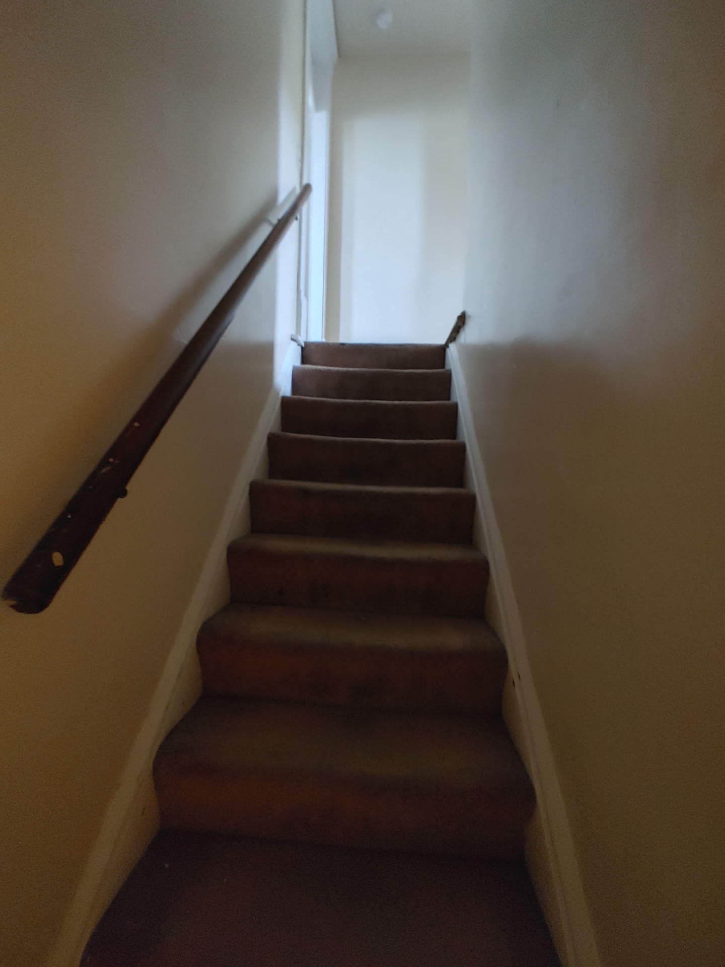 121 W 9th carpeted stairway leading to the upstairs bedrooms