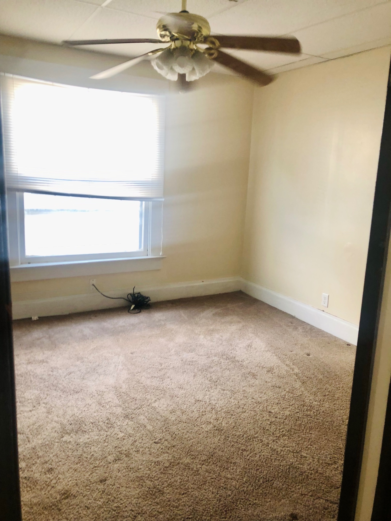 91½ E Woodruff Ave. bedroom with ceiling fan, plush carpet, and oversized window