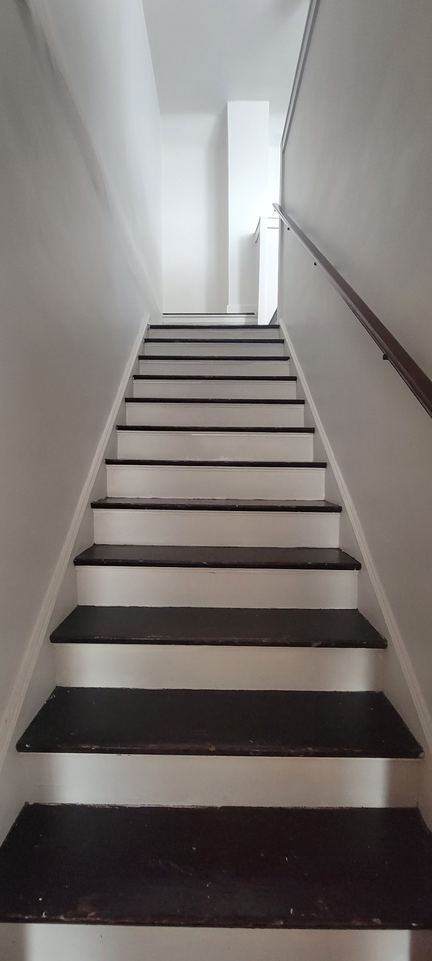 2044 Iuka Ave. C freshly painted staircase leading to the upper-level bonus room