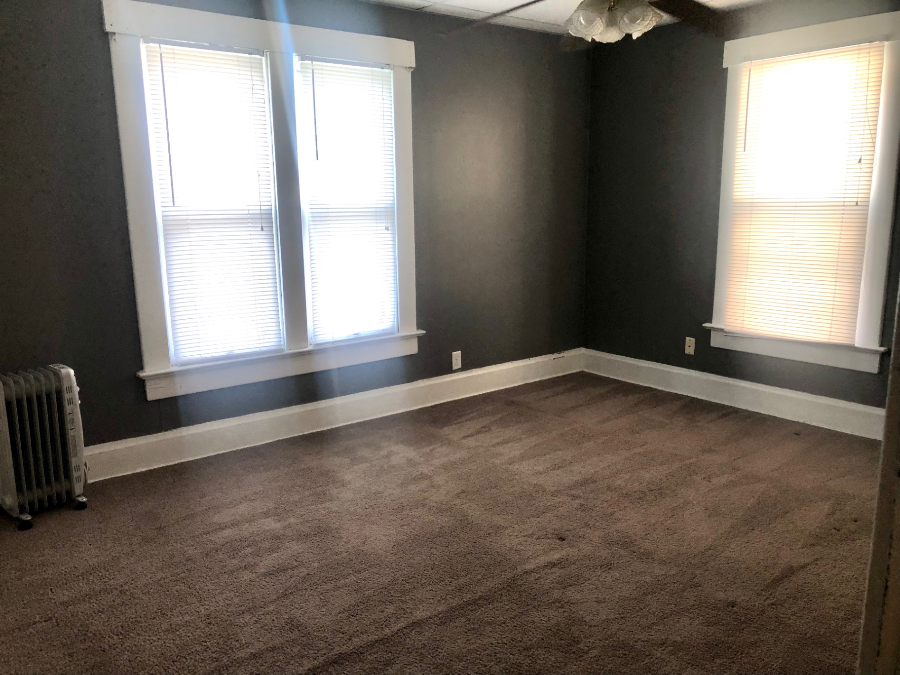 91½ E Woodruff Ave. spacious carpeted living room with dark accent wall and two bright windows